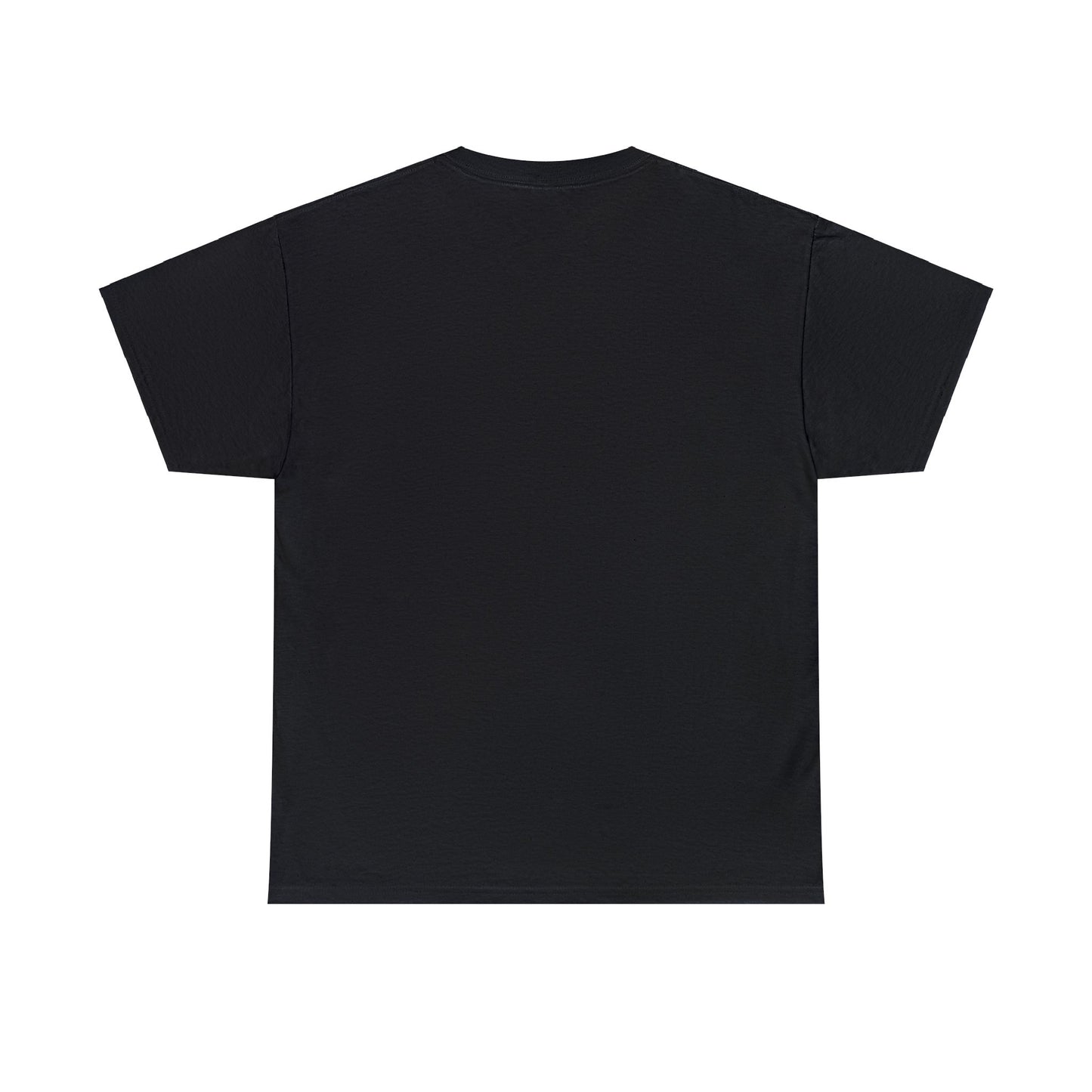 USED TO BE VALENTINES THE GOOD YEARS T-SHIRT